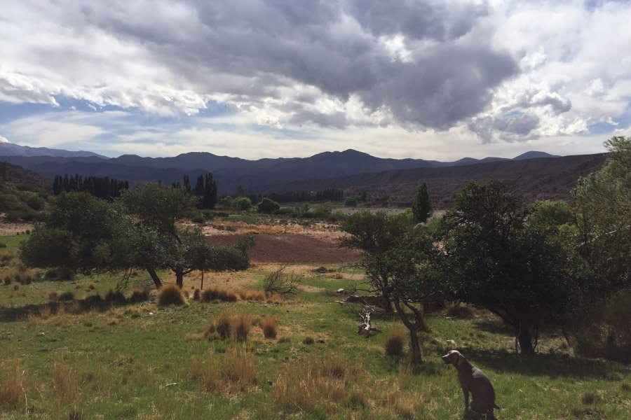 Laguna de los patos en Tilcara en la Quebrada de Humahuaca, provincia de Jujuy, Argentina